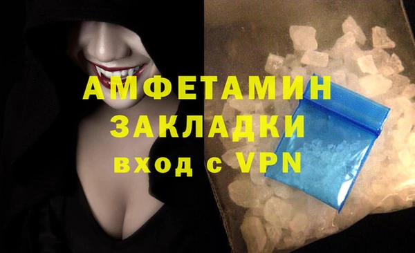 стафф Новодвинск