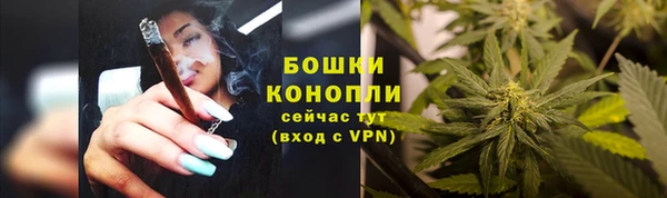 каннабис Новозыбков