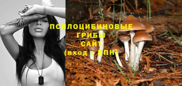 mdpv Нязепетровск