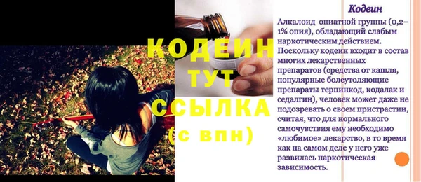 стафф Новодвинск