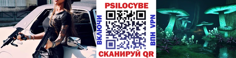 Галлюциногенные грибы Psilocybe  mega   Россошь 