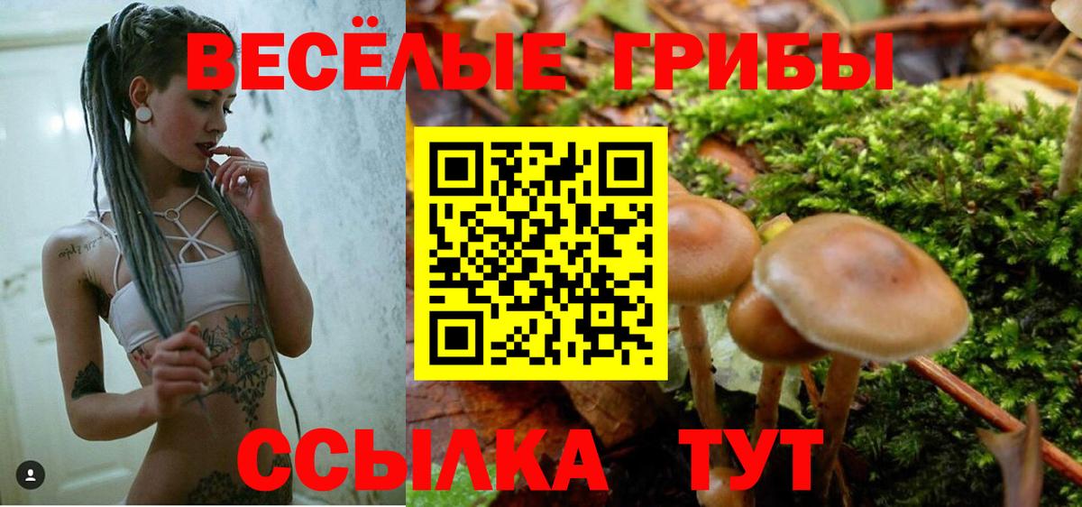 Псилоцибиновые грибы Psilocybine cubensis Россошь